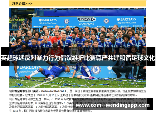 英超球迷反对暴力行为倡议维护比赛尊严共建和谐足球文化