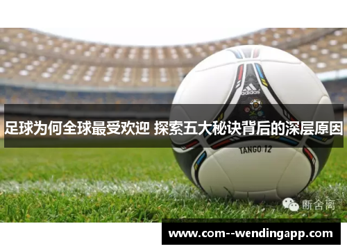 足球为何全球最受欢迎 探索五大秘诀背后的深层原因