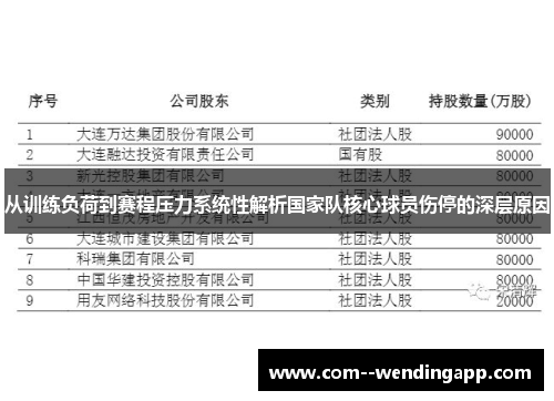 从训练负荷到赛程压力系统性解析国家队核心球员伤停的深层原因